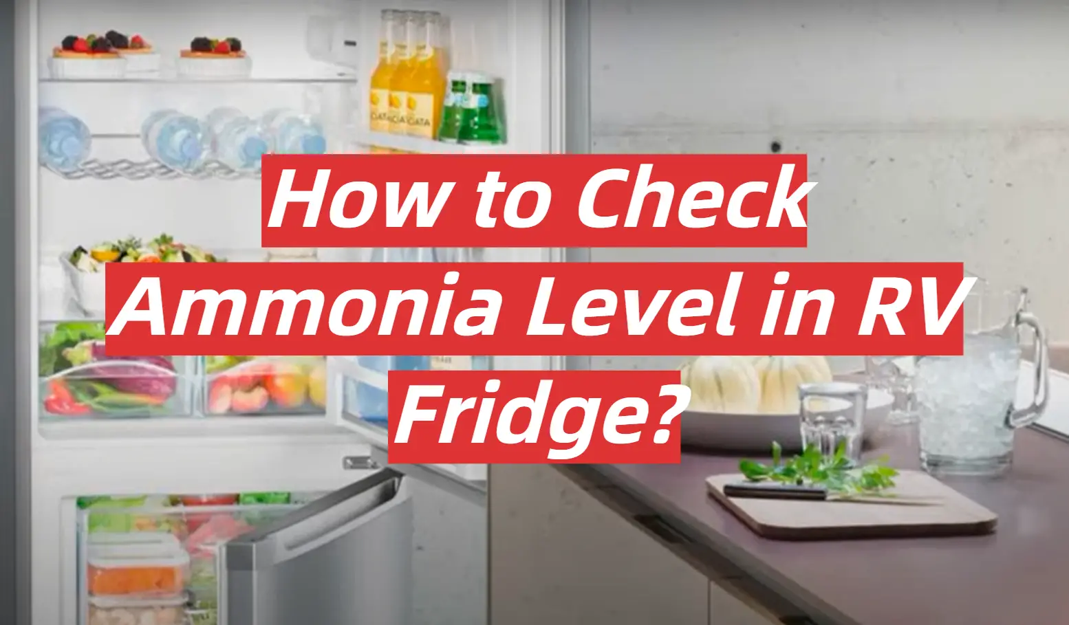 How to Check Ammonia Level in RV Fridge?
