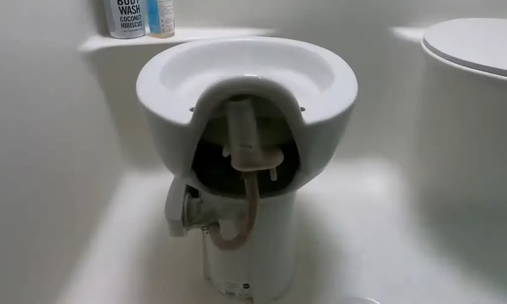 When the Flush Doesn’t Happen