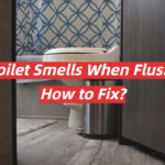 RV Toilet Smells When Flushed: How to Fix?