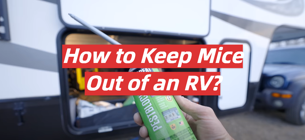 How to Keep Mice Out of an RV?